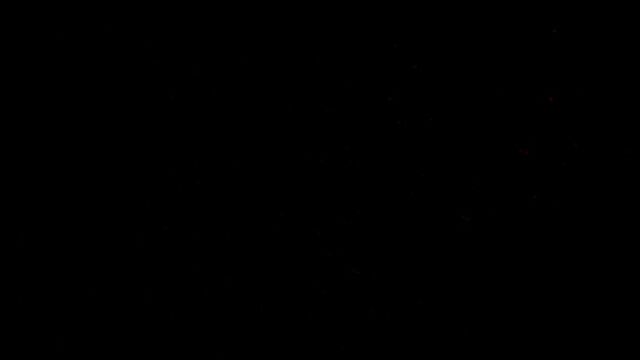 Видео порнуха #118501