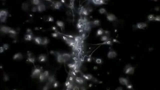 Видео порнуха #220578