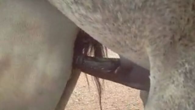 Видео порнуха #3836