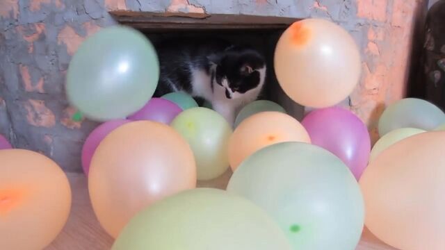 Видео порнуха #173018