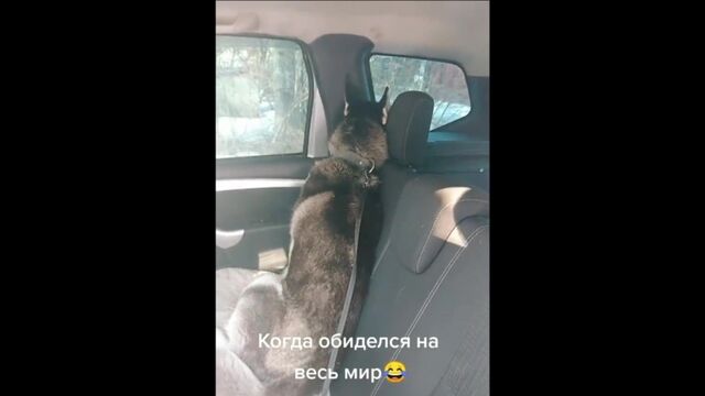 Видео порнуха #183739