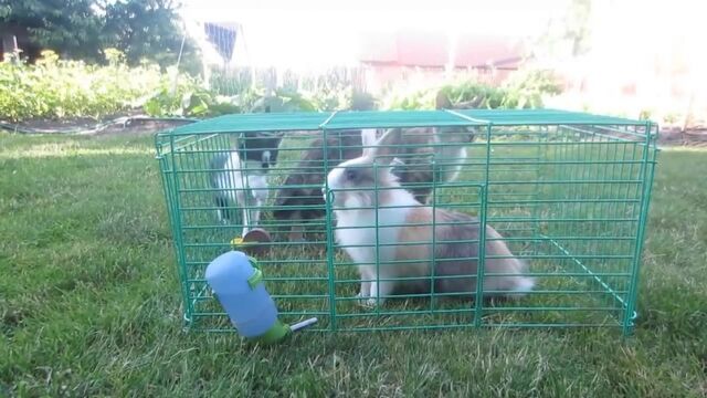 Видео порнуха #174186