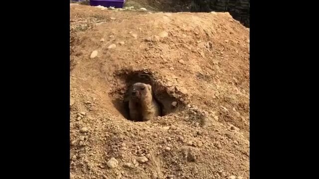 Видео порнуха #120598