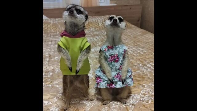 Видео порнуха #183577