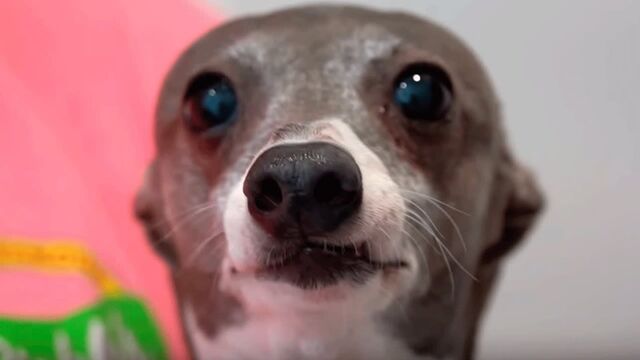 Видео порнуха #112694