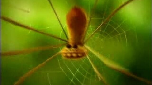 Видео порнуха #17274