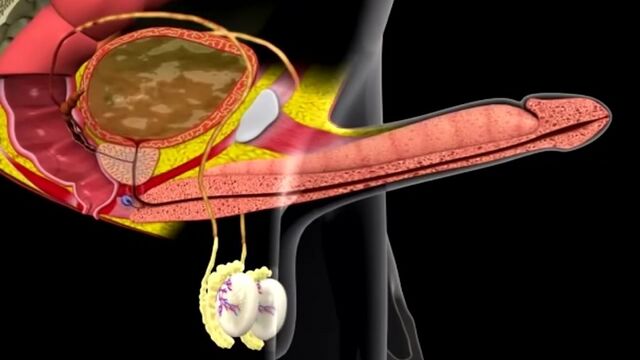 Видео порнуха #165213