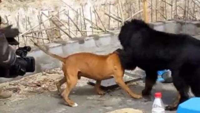 Видео порнуха #146661