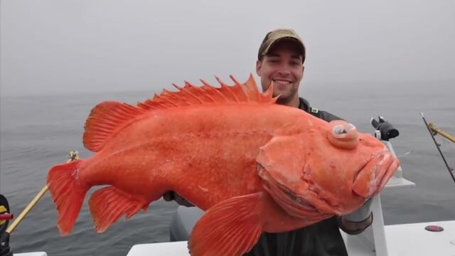 Видео порнуха #124664