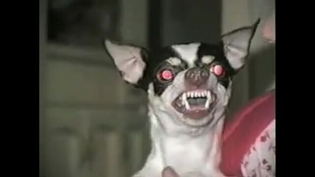 Видео порнуха #6638