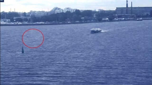 Видео порнуха #192155