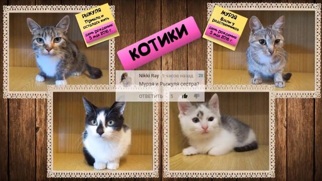 Видео порнуха #36664