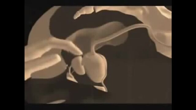 Видео порнуха #9851