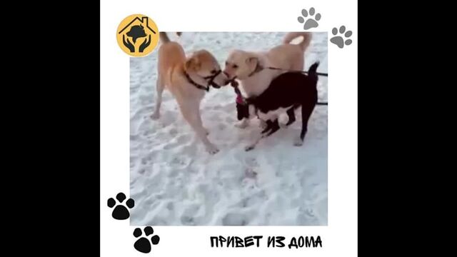 Видео порнуха #174480