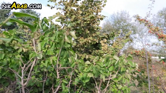 Видео порнуха #208603