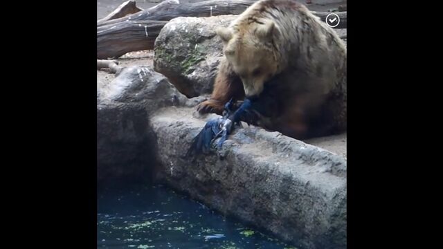 Видео порнуха #156239