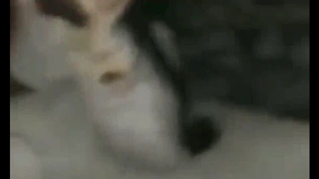 Видео порнуха #88922