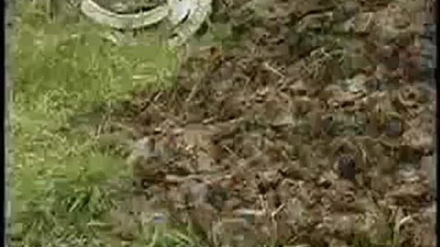 Видео порнуха #11295