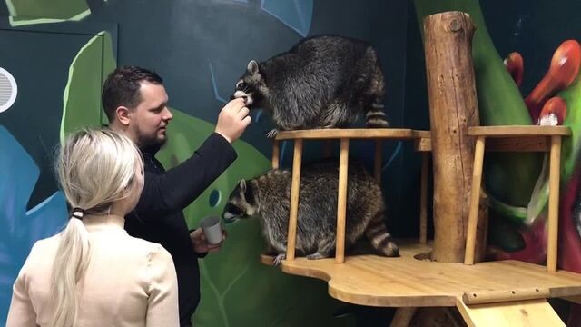 Видео порнуха #83496