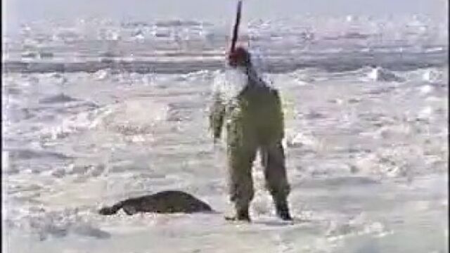 Видео порнуха #289