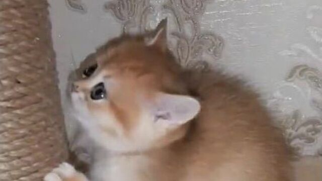 Видео порнуха #67982