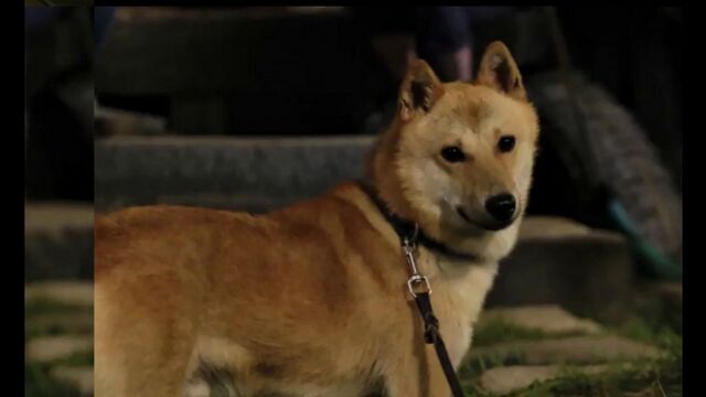 Видео порнуха #168668