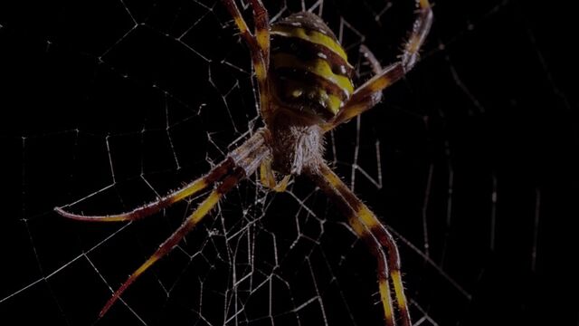 Видео порнуха #139519