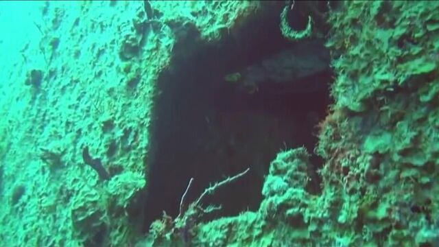 Видео порнуха #26190