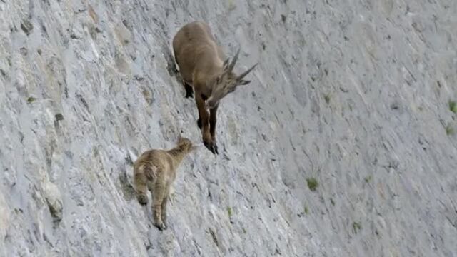 Видео порнуха #49302