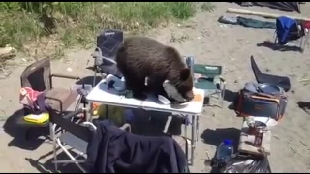 Видео порнуха #187550