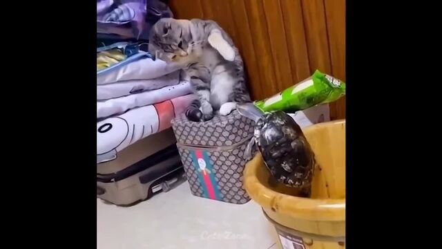 Видео порнуха #85950