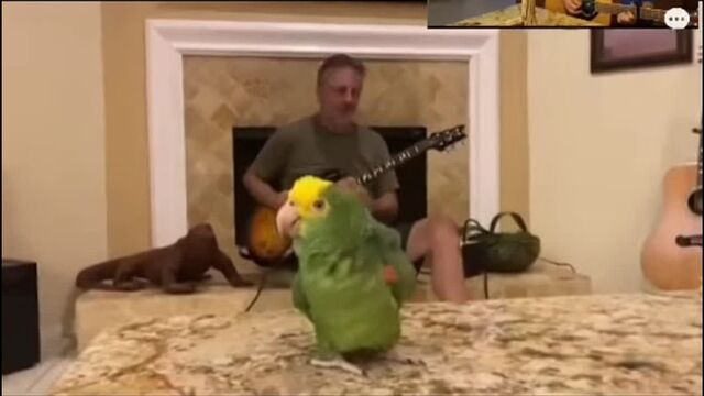 Видео порнуха #149031