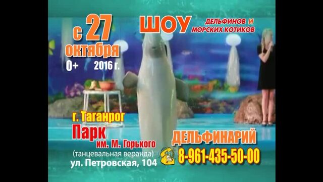 Видео порнуха #165446