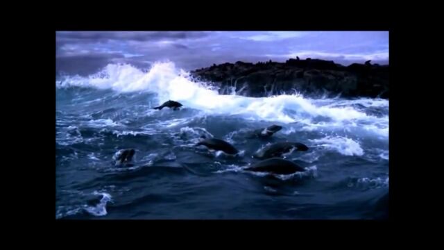 Видео порнуха #17754