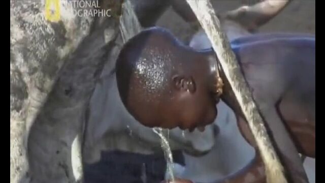 Видео порнуха #161343