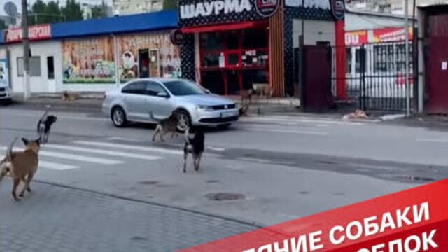 Видео порнуха #77266