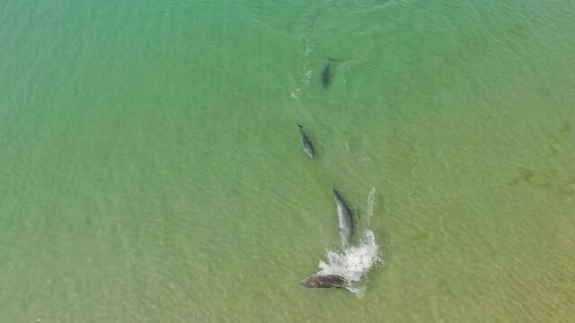 Видео порнуха #161802