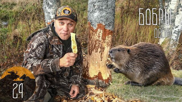 Видео порнуха #48302