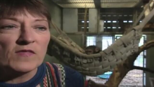 Видео порнуха #2444