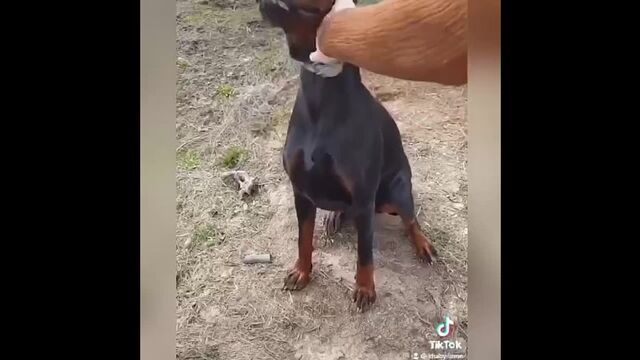 Видео порнуха #73706