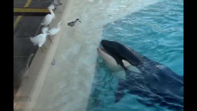 Видео порнуха #105857