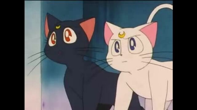 Видео порнуха #5571