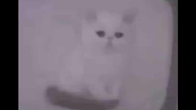 Видео порнуха #186117