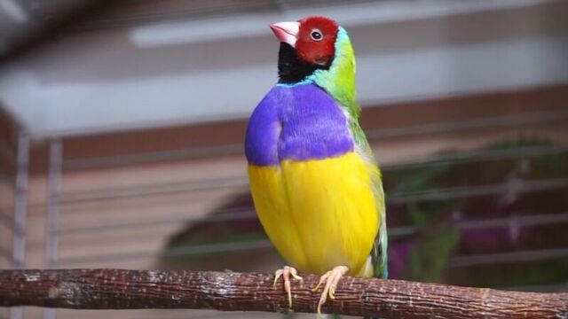 Видео порнуха #25831