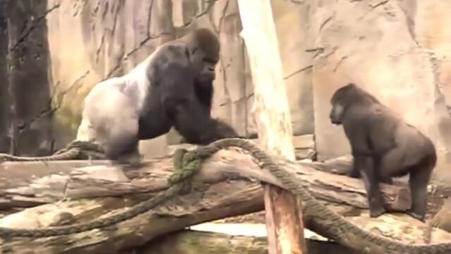 Видео порнуха #185732