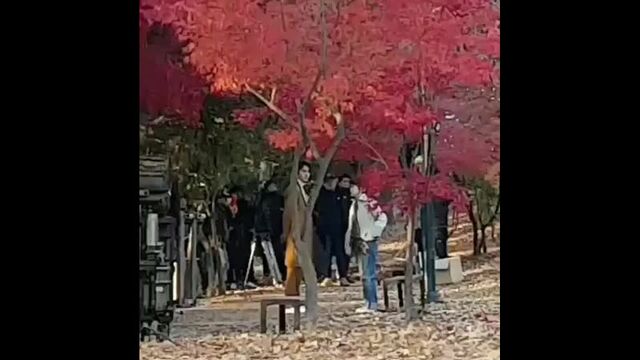 Видео порнуха #48856