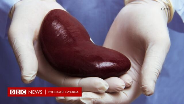 Видео порнуха #153936