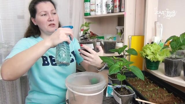 Видео порнуха #155948