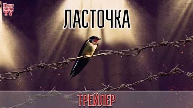 Видео порнуха #107981