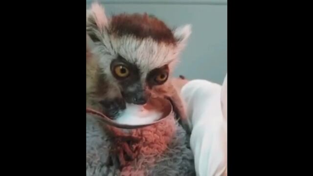 Видео порнуха #174031